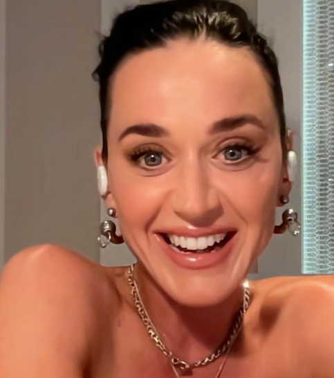 Katy Perry Vermögen 2024